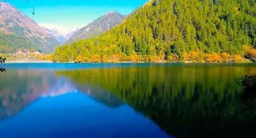 创意投稿箱 - 色花堂永久地址 - 你的创意作品发光的专属通道